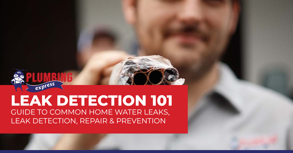 Leak Detection 101: A Guide to Common Home Water Leaks, Leak Detection Process, & Prevention