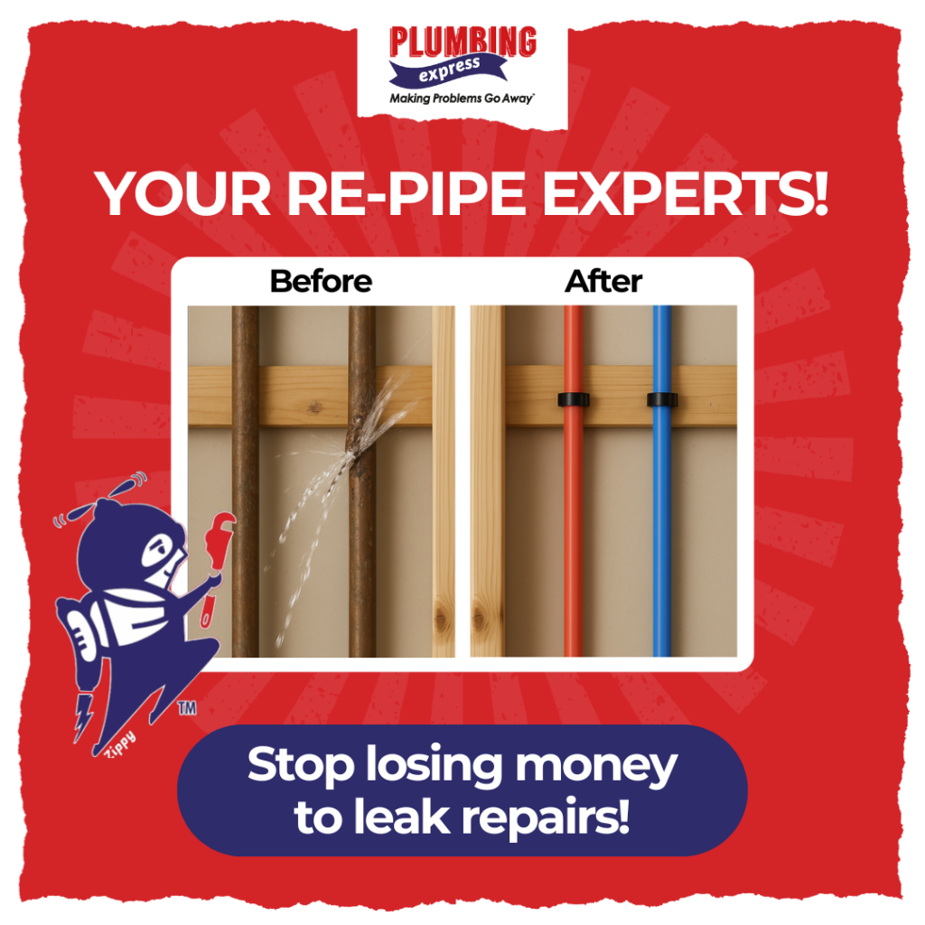 Re-Pipe Experts